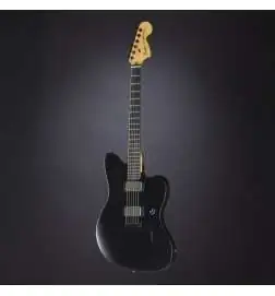 Fender Jim Root Jazzmaster