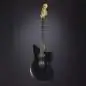 Fender Jim Root Jazzmaster