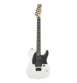 Fender Jim Root Telecaster Flat White