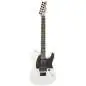 Fender AS Jim Root Tele FLWHEB Flat wit, Ebony, incl. case