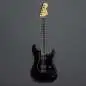Fender Jim Root Stratocaster