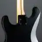 Fender Jim Root Stratocaster