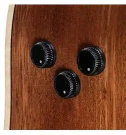 Fender Redondo Special Honey Burst