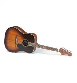 Fender Redondo Special Honey Burst