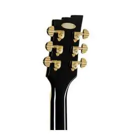 Duesenberg Starplayer TV Custom Black