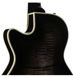 Duesenberg Starplayer TV Custom Black