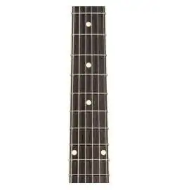 Duesenberg Starplayer TV Custom Black
