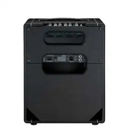 Laney Digbeth DB200-210