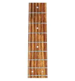 Rickenbacker 330 Jetglo