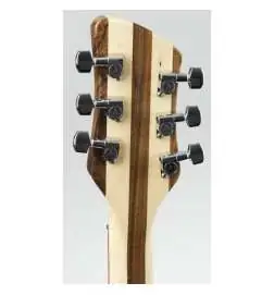 Rickenbacker 360 Deluxe Thinline MG Mapleglo
