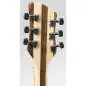 Rickenbacker 360 Deluxe Thinline MG Mapleglo