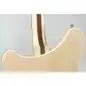 Rickenbacker 360 Deluxe Thinline Mapleglo
