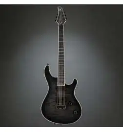 Mayones Regius 6 Graphite Burst