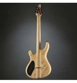 Mayones Regius 6 Graphite Burst