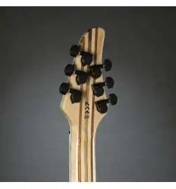 Mayones Regius 6 Graphite Burst