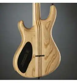Mayones Regius 6 Graphite Burst