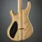 Mayones Regius 6 Graphite Burst