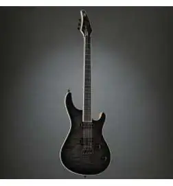 Mayones Regius 6 Graphite Burst
