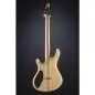 Mayones Regius 6 Dirty Blue Burst