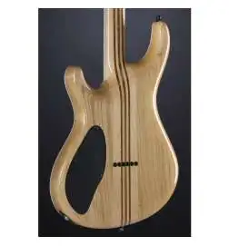 Mayones Regius 6 Dirty Blue Burst