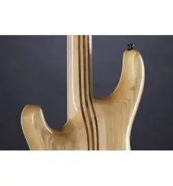 Mayones Regius 6 Dirty Blue Burst