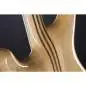 Mayones Regius 6 Dirty Blue Burst