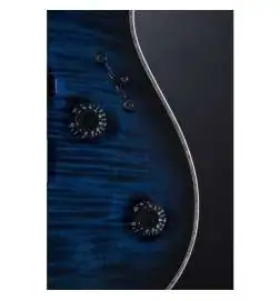Mayones Regius 6 Dirty Blue Burst