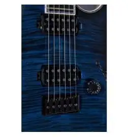 Mayones Regius 6 Dirty Blue Burst