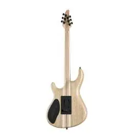 Mayones Regius V24 6 Graphite Burst