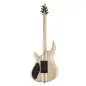 Mayones Regius V24 6 Graphite Burst
