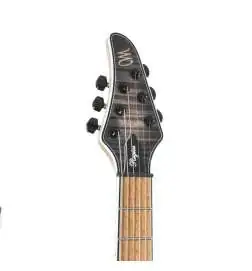 Mayones Regius V24 6 Graphite Burst