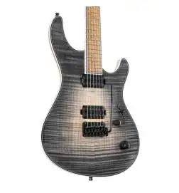 Mayones Regius V24 6 Graphite Burst