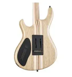 Mayones Regius V24 6 Graphite Burst