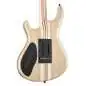 Mayones Regius V24 6 Graphite Burst