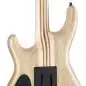 Mayones Regius V24 6 Graphite Burst