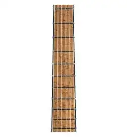 Mayones Regius V24 6 Graphite Burst