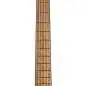 Mayones Regius V24 6 Graphite Burst