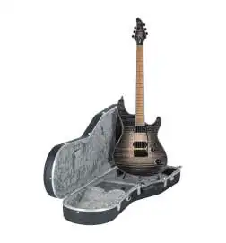 Mayones Regius V24 6 Graphite Burst
