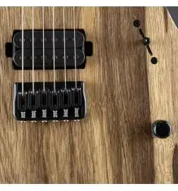 Mayones Duvell BL 6
