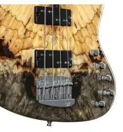 Mayones Jabba Custom 4 BB Buckey Burl