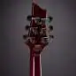 Schecter Hellraiser C-1 BC Black Cherry Schecter Hellraiser C-1 BC Black Cherry