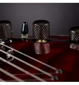 Schecter Hellraiser C-1 BC Black Cherry