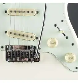 Schecter Nick Johnston Traditional Atomic Snow