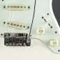 Schecter Nick Johnston Traditional Atomic Snow