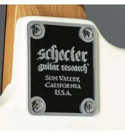 Schecter Nick Johnston Traditional Atomic Snow