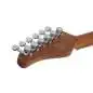 Schecter Traditional Van Nuys