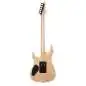 Schecter Reaper-6 FR Satin Inferno Burst Schecter Reaper-6 FR Satin Inferno Burst