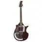 Danelectro Sitar