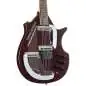 Danelectro Sitar