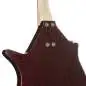 Danelectro Sitar